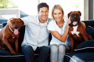 CoupleWithBoxerDogsOnCouch-300x200